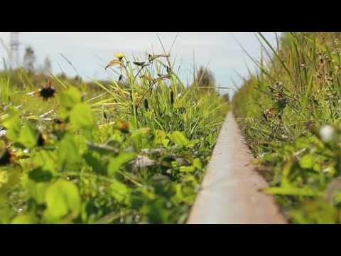 Видео: Кудемская узкоколейная железная дорога