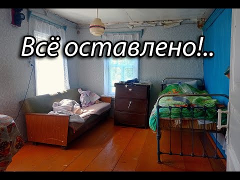 Видео: ЗДЕСЬ ЖИЛИ СОВСЕМ НЕДАВНО! Встретили лосей в брошенном доме. Деревня Ярославской области. Часть 2