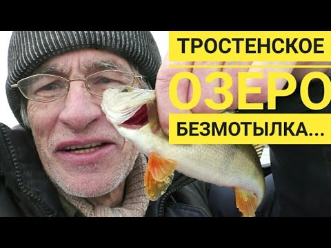 Видео: Тростенское озеро. Безмотылка, поиск окуня. Рыбак Андрей Николаев.