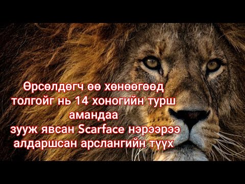 Видео: Домогт арслан Scarface ийн амьдрал тулаан хаанчлал Гоё түүх goy tuuhuud 2024 mongol heleer kino duu