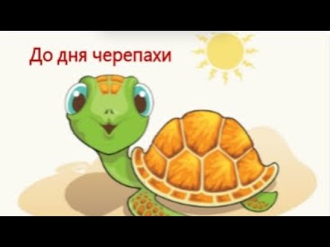Видео: До дня черепахи