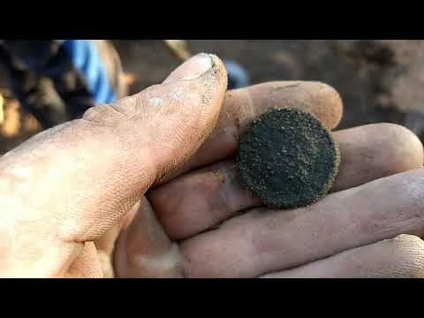 Видео: Коп с фишер ф44 серебро Александра1