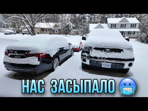 Видео: Нас засыпало / Первый снег