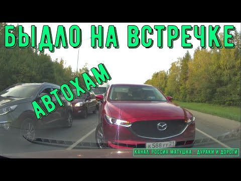 Видео: Быдло на встречке #160! Подборка на видеорегистратор!