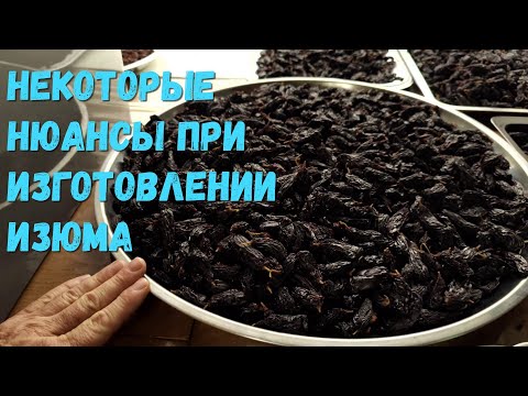 Видео: Изюм из винограда некоторые нюансы