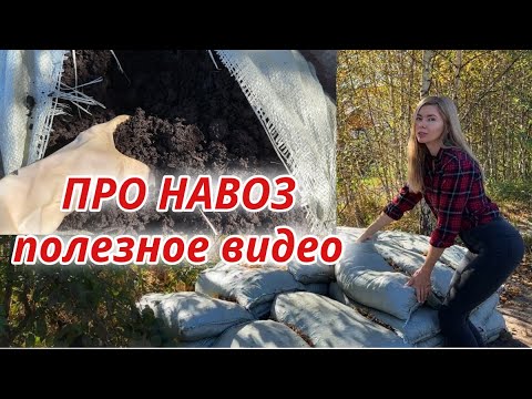 Видео: Инструкция по внесению навоза и перегноя: КОГДА ВНОСИТЬ, СКОЛЬКО и КАК
