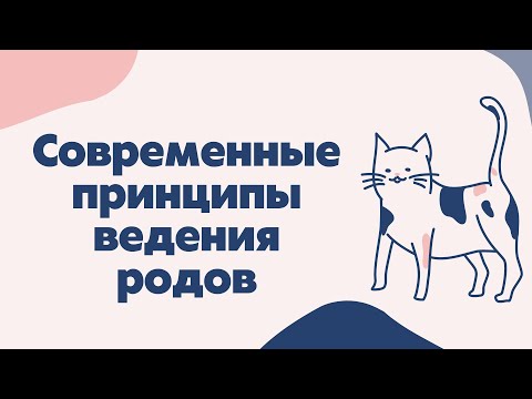 Видео: Современные принципы ведения родов | Лекции по акушерству для студентов и врачей