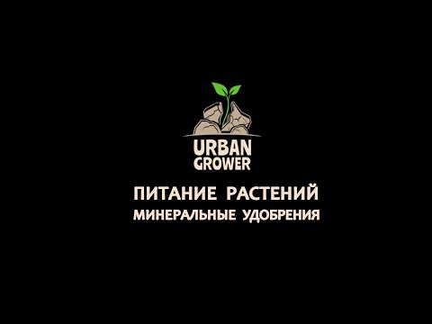 Видео: УРБАН ГРОВЕР УРОК 19 - ПИТАНИЕ РАСТЕНИЙ - МИНЕРАЛЬНЫЕ УДОБРЕНИЯ