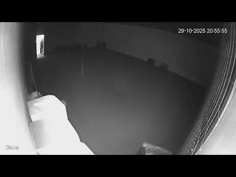 Видео: Тренування