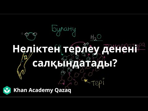 Видео: Неліктен терлеу денені салқындатады | Қазақ Хан Академиясы