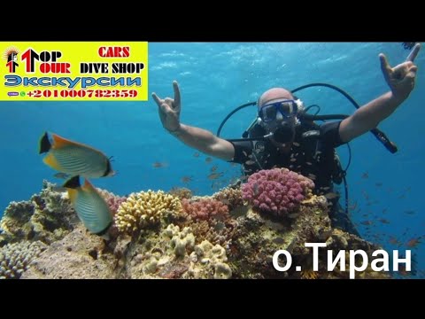 Видео: Экскурсия на остров Тиран, Sharm El Sheikh.