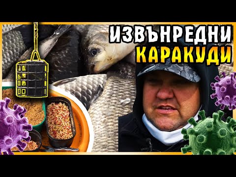 Видео: ИЗВЪНРЕДНИ КАРАКУДИ на Кривина / С фидер на "тънко" в студена вода