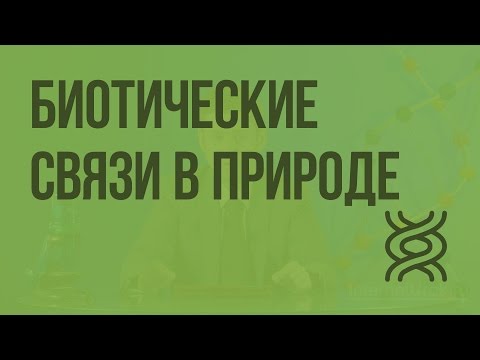 Видео: Биотические связи в природе. Видеоурок по биологии 9 класс
