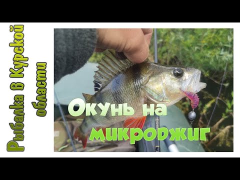 Видео: Окунь на микроджиг🎣 🎣🎣 или рыбалка в ливень🐟🐟🐟