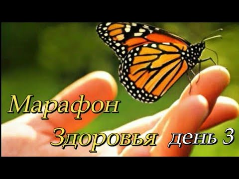 Видео: Торможение рефлексов. Ответы на вопросы!