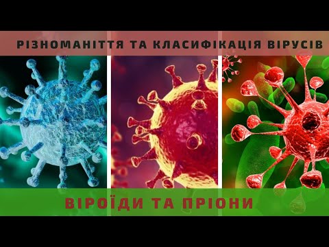 Видео: Різноманіття та класифікація вірусів. Віроїди та пріони.