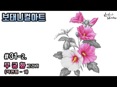 Видео: [Цветочный рисунок / Ботаническое искусство] № 31-2. Рисунок цветным карандашом Роза Шарон