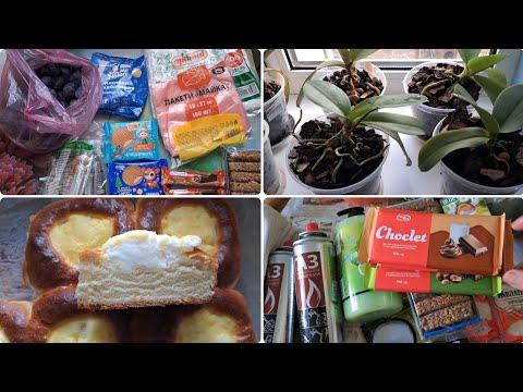 Видео: Наші будні 1-2 листопада 2025