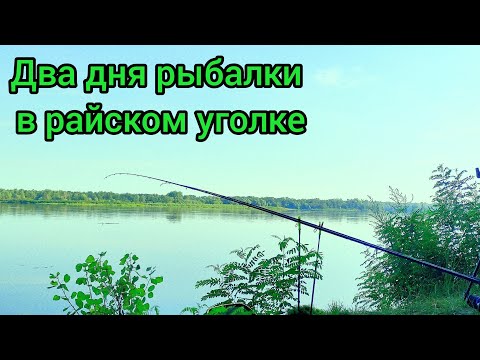 Видео: Рыбалка в Черкасской области, место силы💪 подальше от людей😬😬