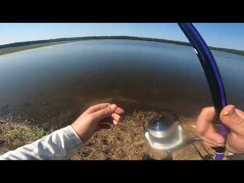 Видео: Ловля линка і карася на поплавок