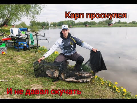 Видео: Ловля на фидер Карпа на оз. Игумное.Мощные поклевки и яркие эмоции.Рыбалка на весеннего карпа