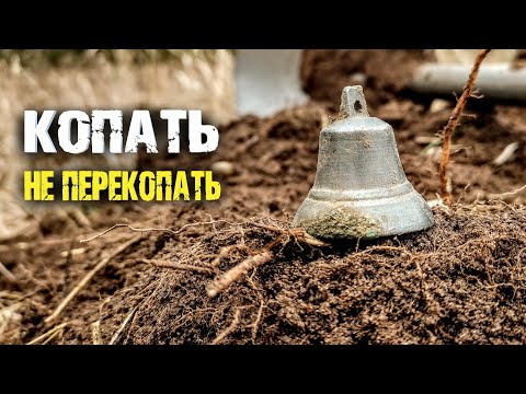 Видео: Куда не ткни лопату, везде монеты. Шурф дома