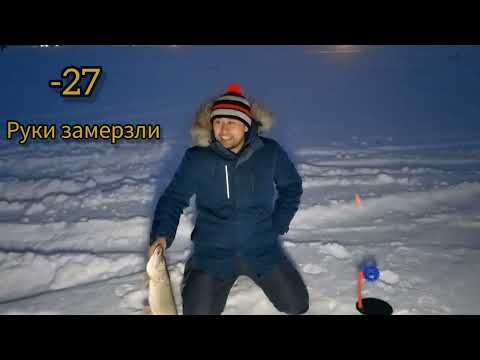 Видео: Карась против Чебака на озере Кокай / Коргалжынский природный заповедник / Қорғалжын табиғи қорығы