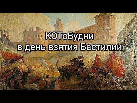 Видео: КОТоБудни в день взятия Бастилии (14 июля 2023 г.) - прошли не зря ☝️