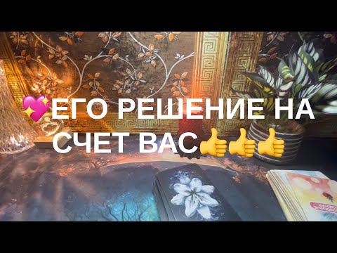 Видео: 12 ноября 2025 г.