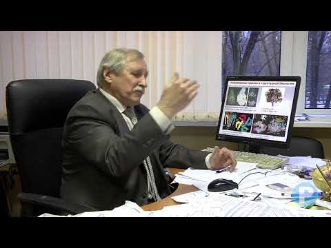 Видео: СИНХРОТРОННОЕ ИЗЛУЧЕНИЕ И РЕНТГЕНОВСКИЕ ЛАЗЕРЫ