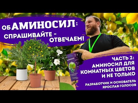 Видео: Аминосил для комнатных растений...  -  Ответы на вопросы от разработчика Ярослава Голосова. Часть 2.
