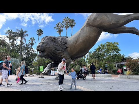 Видео: San Diego Zoo. Семейный отпуск день 2