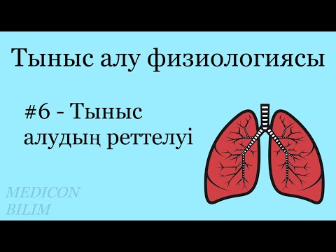 Видео: Тыныс алудың реттелуі | Физиология | курсқа тіркелу👇