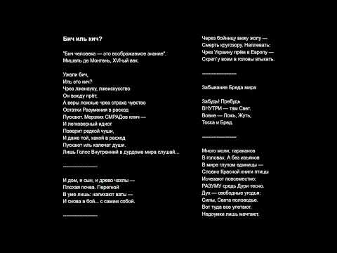 Видео: Бич иль кич?