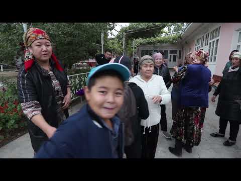 Видео: Куда тойсуу