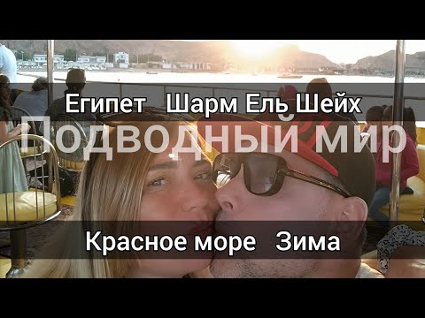 Видео: Египед 2024 E G Красное море зимой Подводный мир