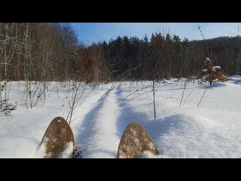 Видео: Охота на куницу капканами, проверка 4 января.2022