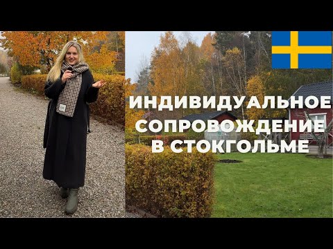 Видео: ИНДИВИДУАЛЬНОЕ СОПРОВОЖДЕНИЕ В СТОКГОЛЬМЕ #sweden #travel #stockholm 
