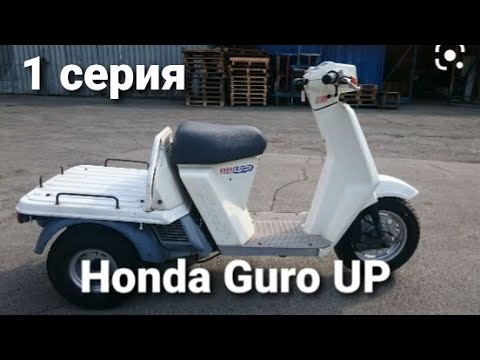 Видео: Ремонт трехколесного скутера"HONDA GURO UP"
