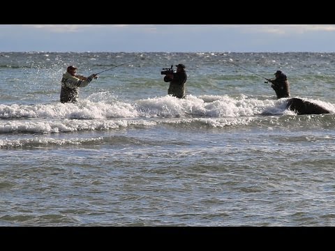 Видео: МОРСКАЯ РЫБАЛКА. ЛОСОСЬ. ДАНИЯ. © Denmark. Fishing travel. Sea trout.