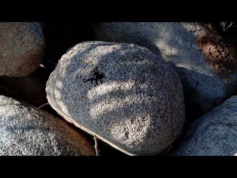 Видео: Ето 2 часть валка 