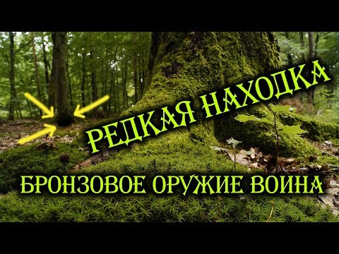 Видео: ОЧЕНЬ ДОРОГАЯ НАХОДКА! НАШЛИ ОРУЖИЕ ВОИНА в ЛЕСУ! В Поисках Клада и Сокровищ