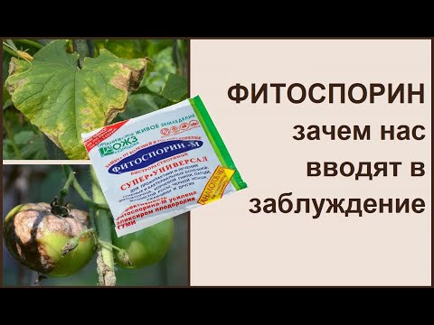 Видео: Фитоспорин: где правда, а где ложь?!