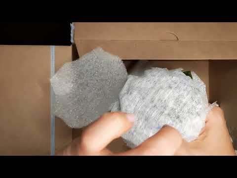 Видео: Долгожданная посылка с новыми сортами фиалок. Распаковка.