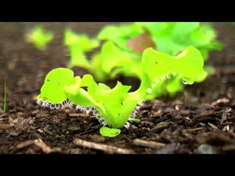 Видео: 01. Завръщане към Едем - филм за органично градинарство / част първа