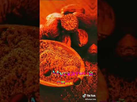 Видео: подборка видео для ведьмочек🧙🏻‍♀ и травниц 🥀