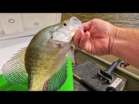 Видео: Осенняя рыбалка на краппи снова в Новом озере