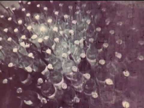 Видео: Фитиль 17 Тля