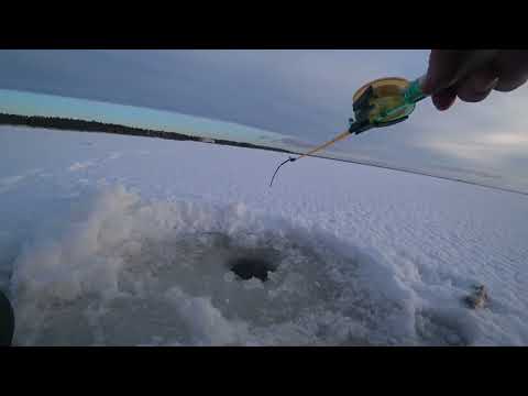 Видео: 20.12.22. Репино. Окунь.