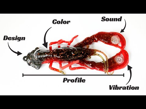 Видео: Как выбрать правильную приманку для рыбалки? Возможно, это вас удивит!